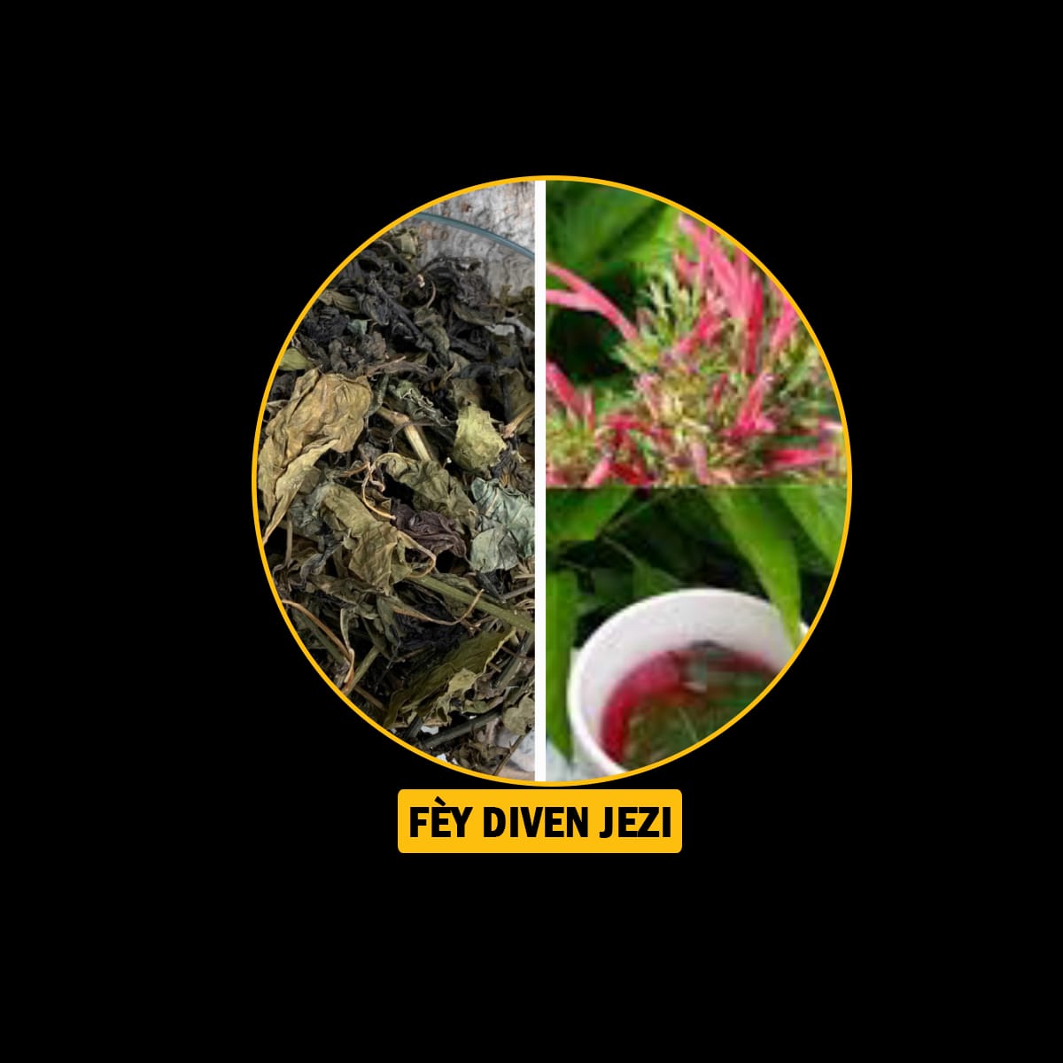 FÈY POU ENFEKSYON/ ENFÈTILITE/FREDI/ VANT FÈMAL