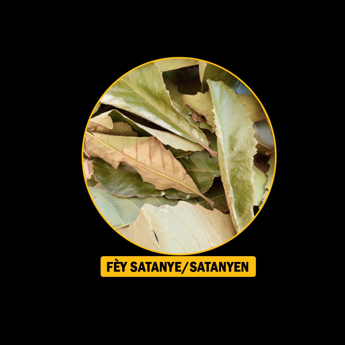 FÈY POU ENFEKSYON/ ENFÈTILITE/FREDI/ VANT FÈMAL
