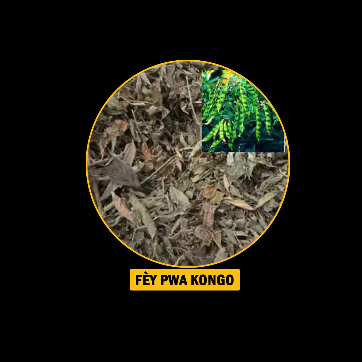 FÈY POU ENFEKSYON/ ENFÈTILITE/FREDI/ VANT FÈMAL