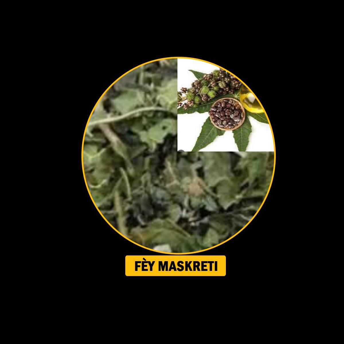FÈY POU ENFEKSYON/ ENFÈTILITE/FREDI/ VANT FÈMAL