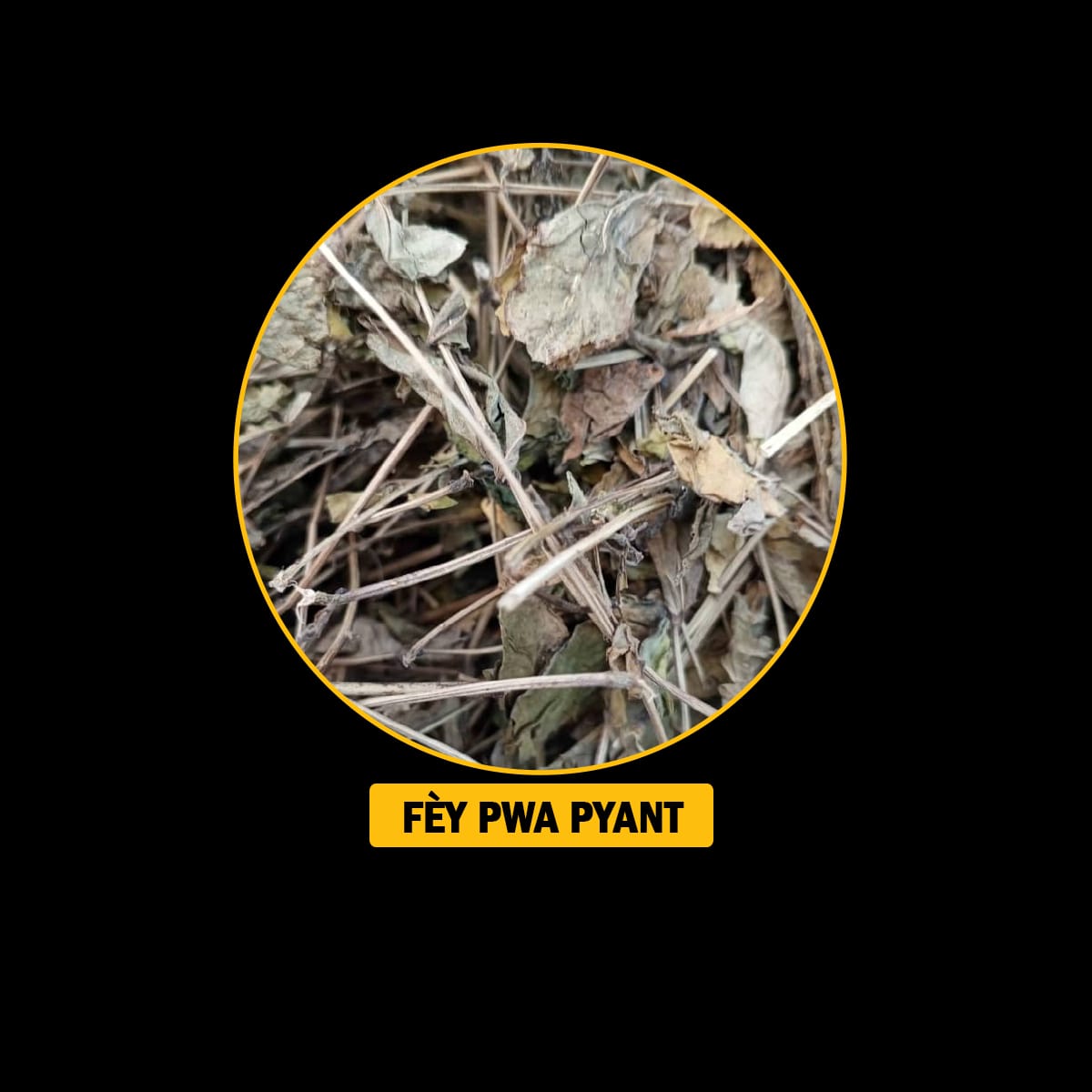 FÈY POU ENFEKSYON/ ENFÈTILITE/FREDI/ VANT FÈMAL