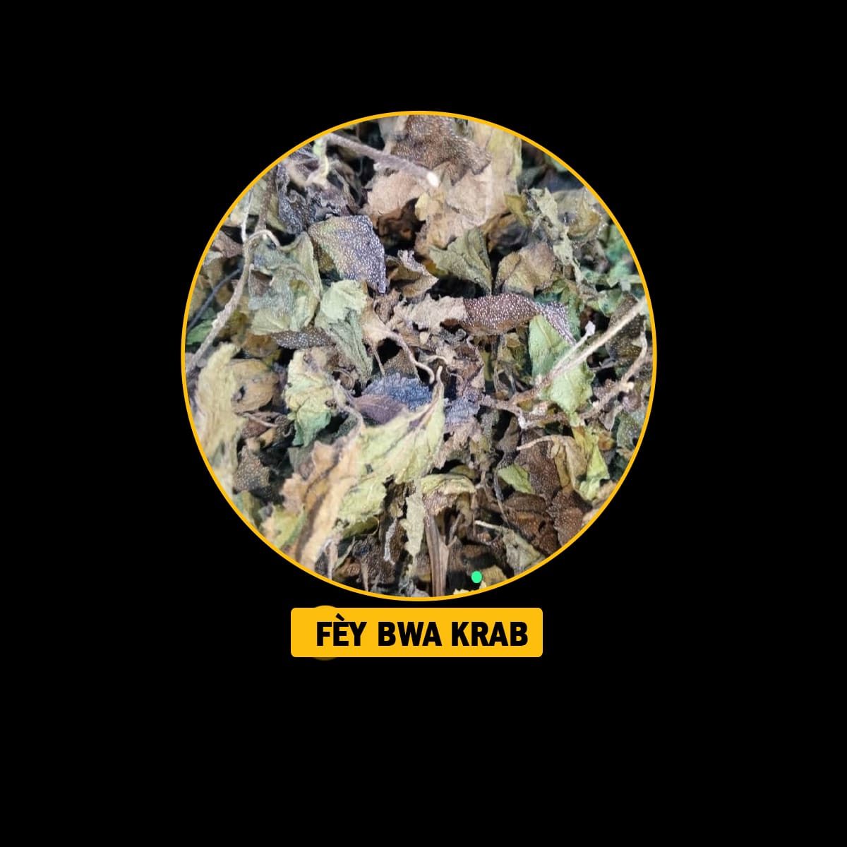 FÈY POU ENFEKSYON/ ENFÈTILITE/FREDI/ VANT FÈMAL