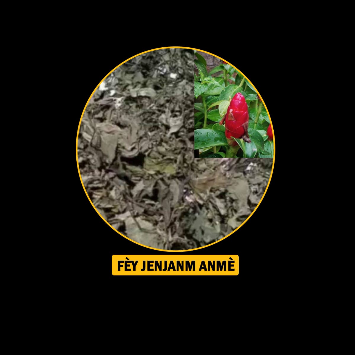 Fèy pou endijesyon,maladi fwa, antigaz