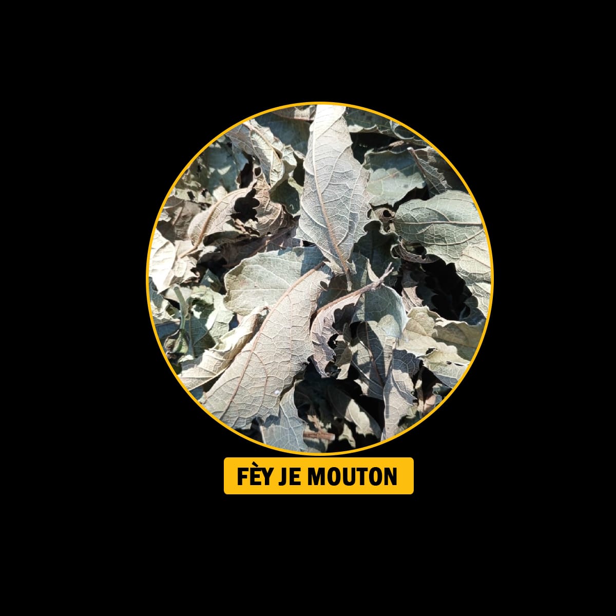 Fèy pou endijesyon,maladi fwa, antigaz