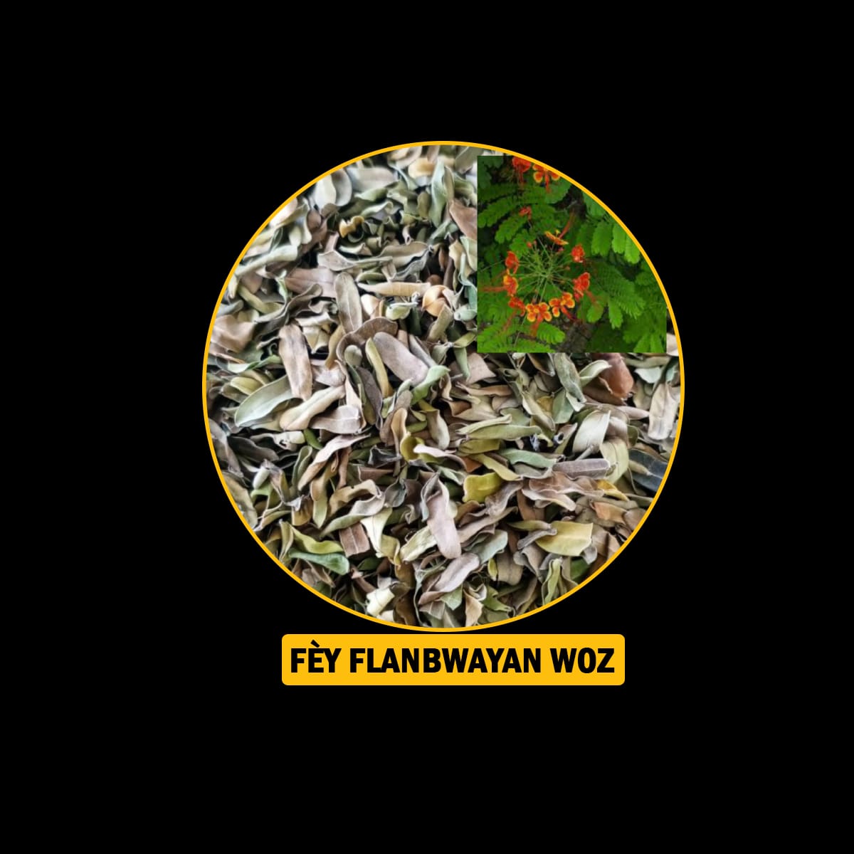 Fèy pou endijesyon,maladi fwa, antigaz