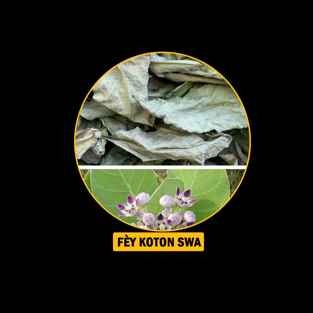Fèy pou endijesyon,maladi fwa, antigaz