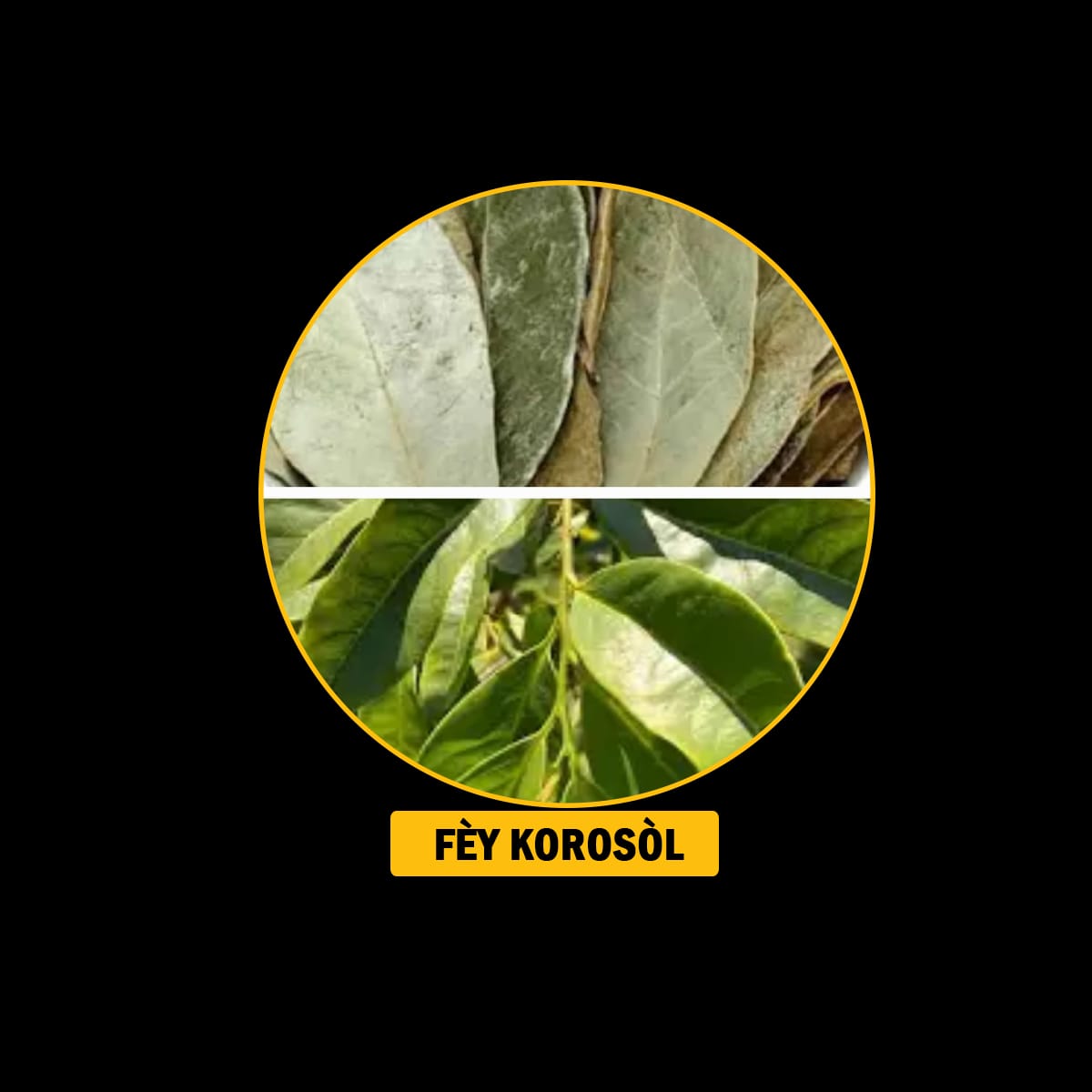 Fèy pou endijesyon,maladi fwa, antigaz