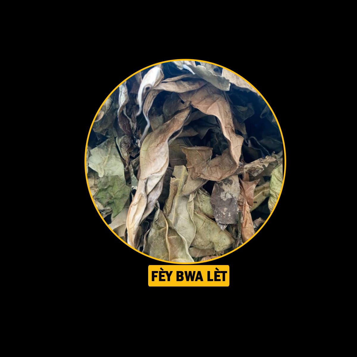 FÈY POU MALADI RESPIRATWA / BWONCH / AZMA
