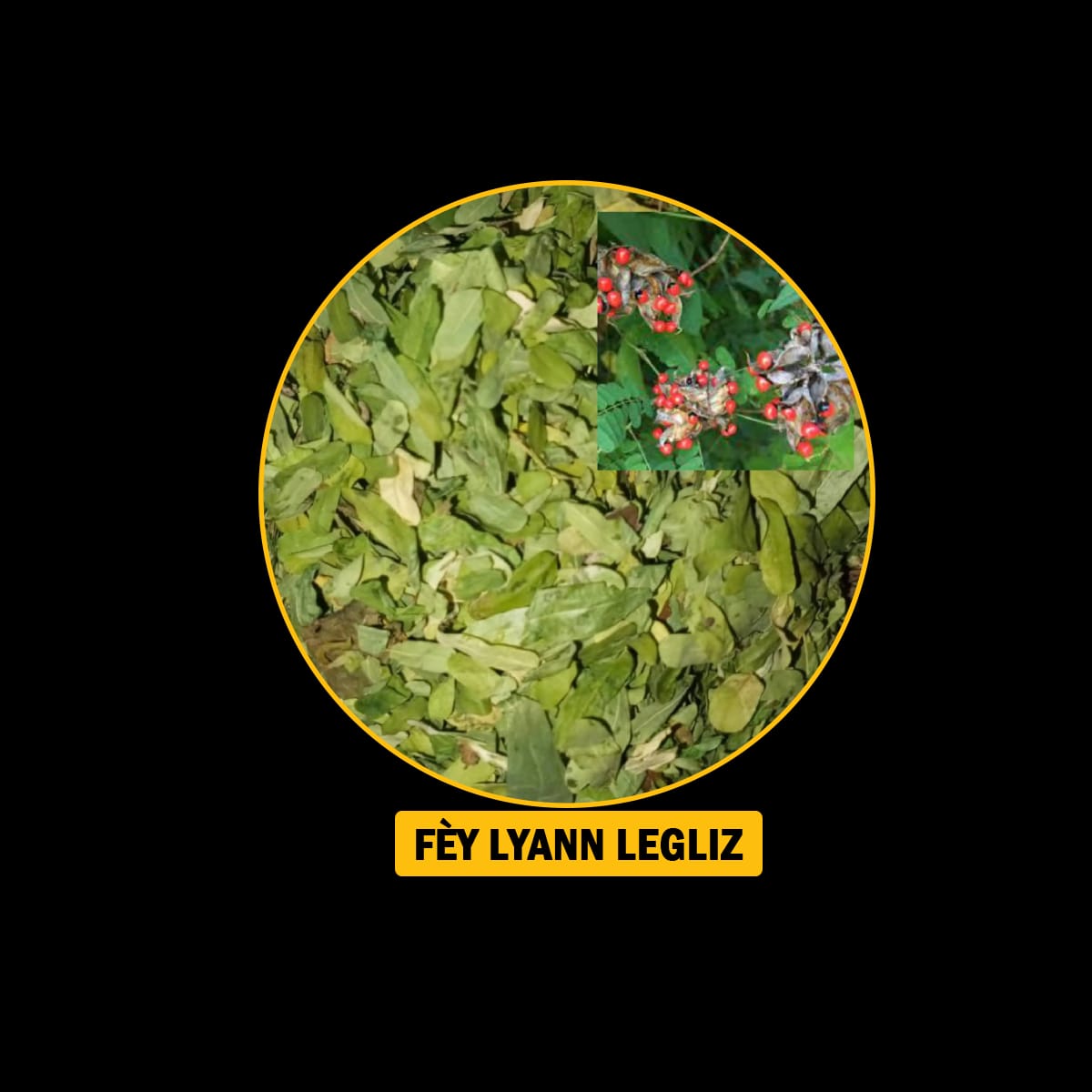 FÈY POU MALADI RESPIRATWA / BWONCH / AZMA