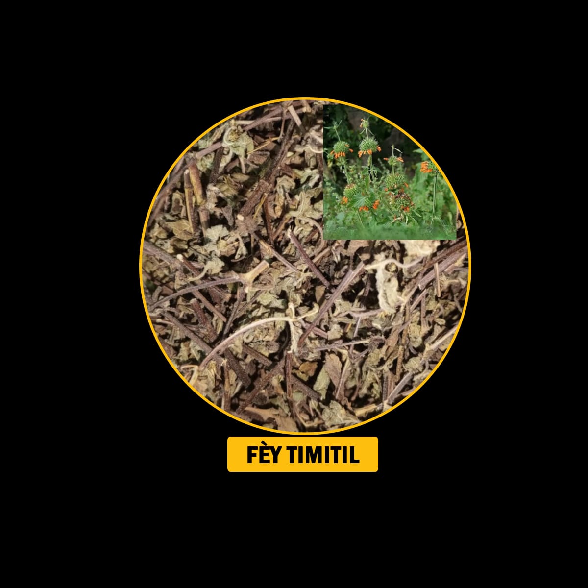 FÈY POU MALADI RESPIRATWA / BWONCH / AZMA