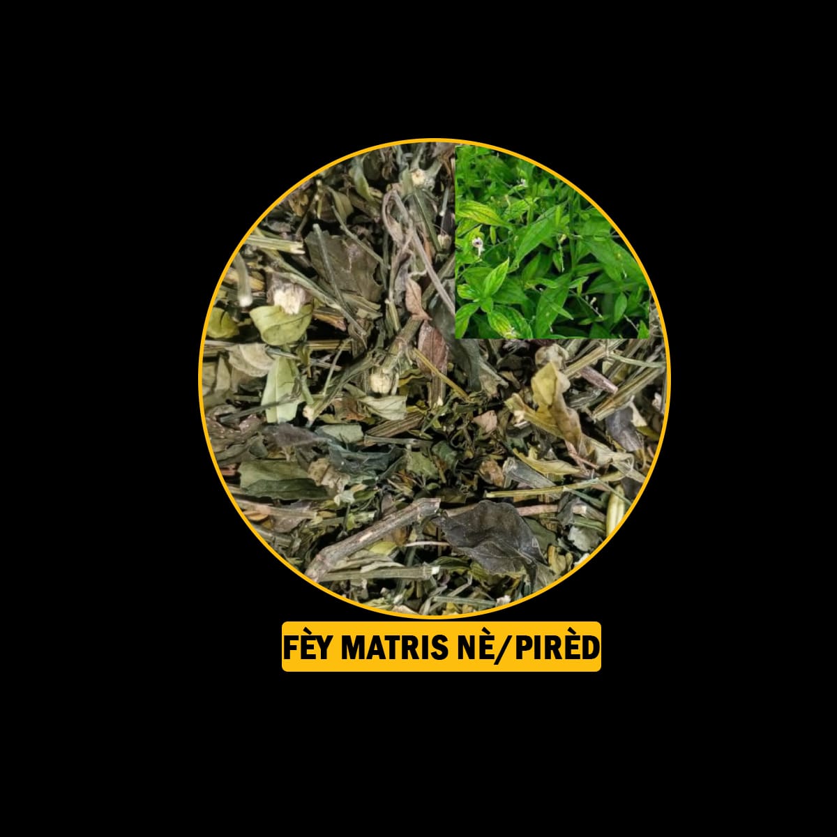 FÈY POU MALADI RESPIRATWA / BWONCH / AZMA