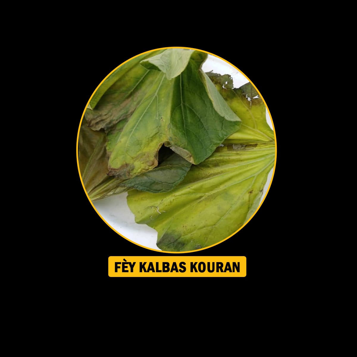FÈY POU MALADI RESPIRATWA / BWONCH / AZMA