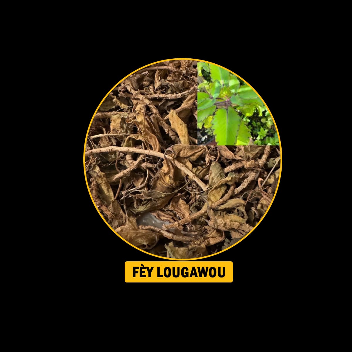 FÈY POU MALADI RESPIRATWA / BWONCH / AZMA