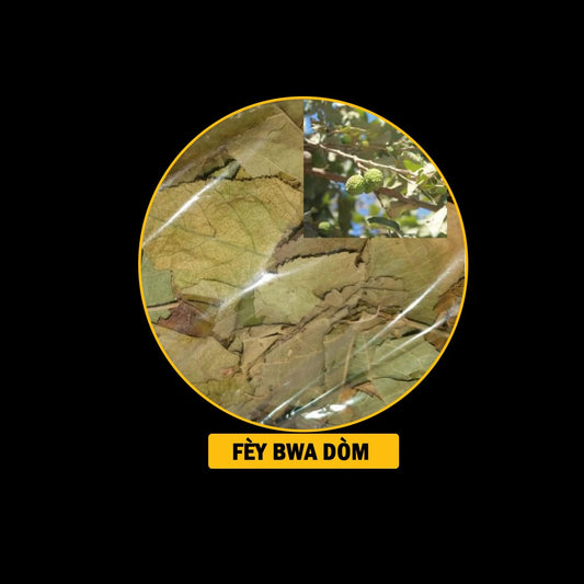 FÈY POU MALADI RESPIRATWA / BWONCH / AZMA