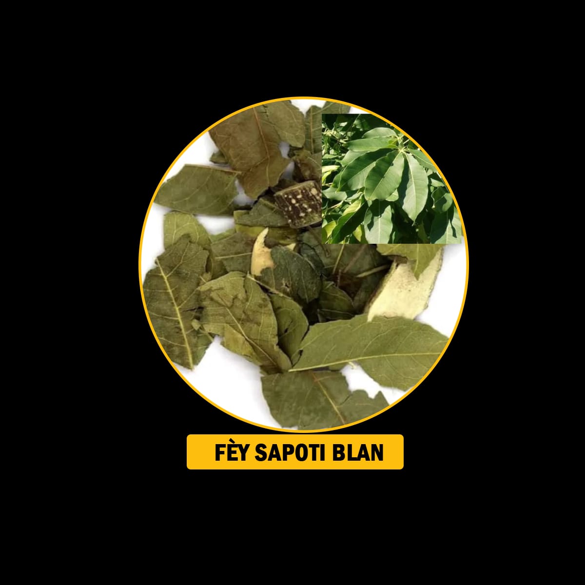 FÈY POU MALADI RESPIRATWA / BWONCH / AZMA