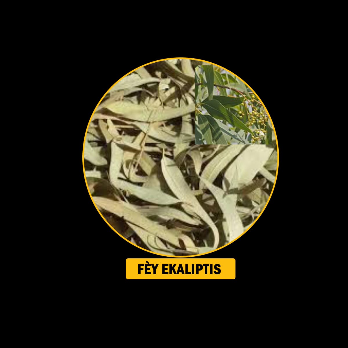 FÈY POU MALADI RESPIRATWA / BWONCH / AZMA