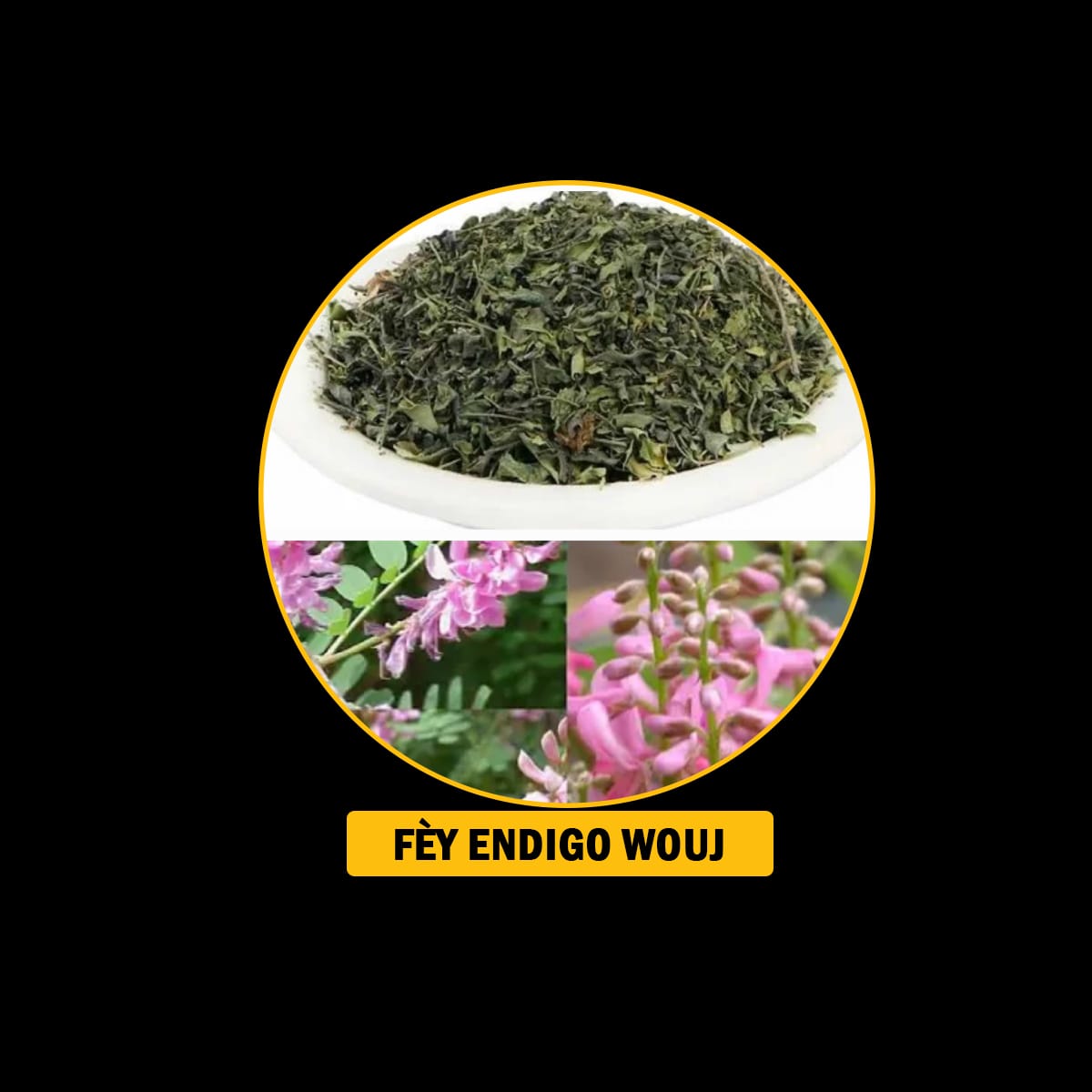 FÈY POU MALADI RESPIRATWA / BWONCH / AZMA