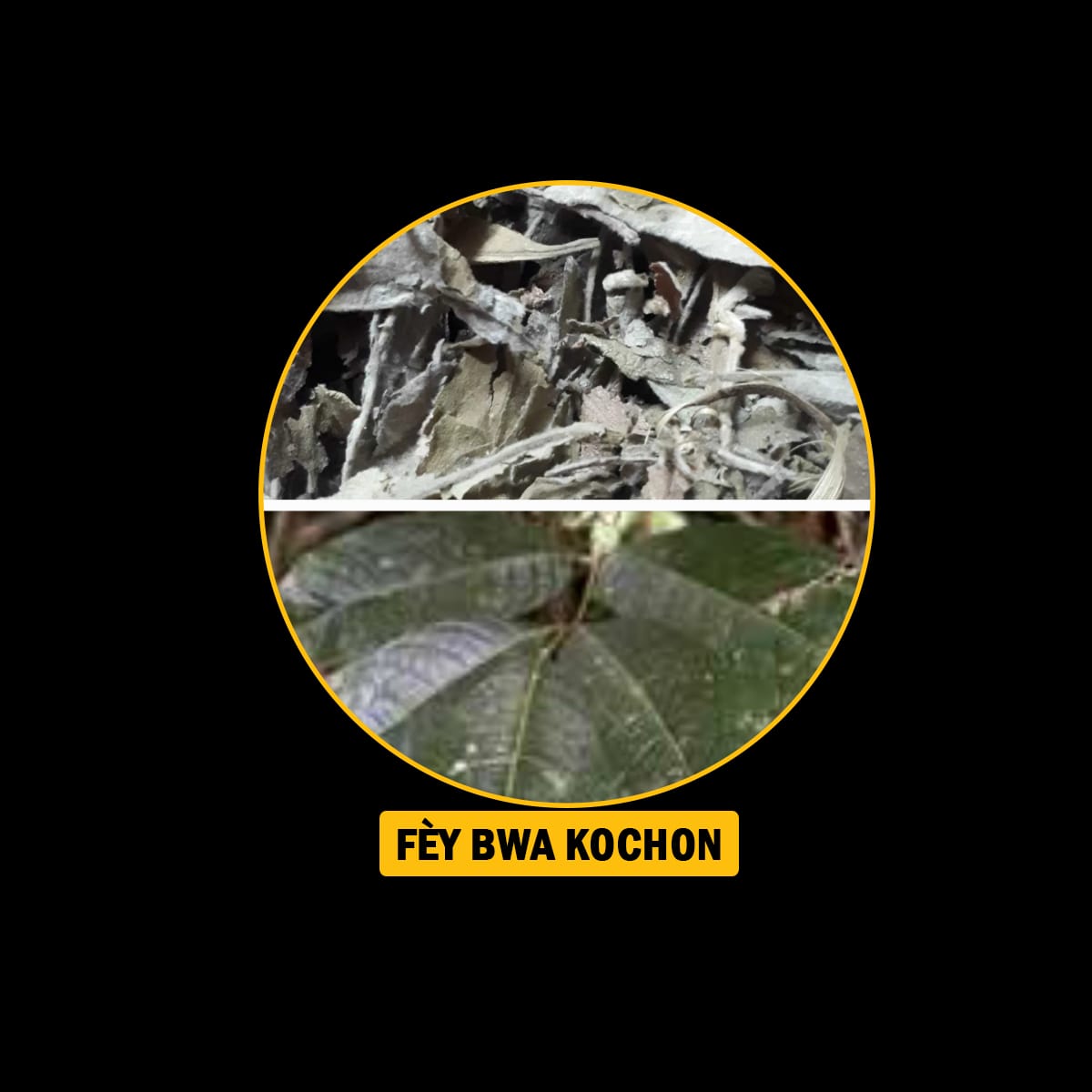 FÈY POU MALADI RESPIRATWA / BWONCH / AZMA