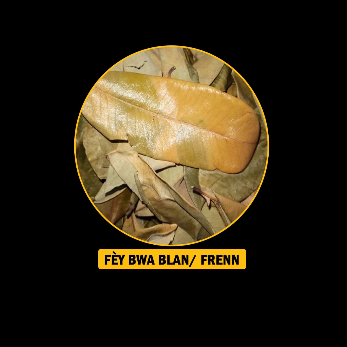 FÈY POU MALADI DYABÈT/ TANSYON AK KOLESTEWÒL