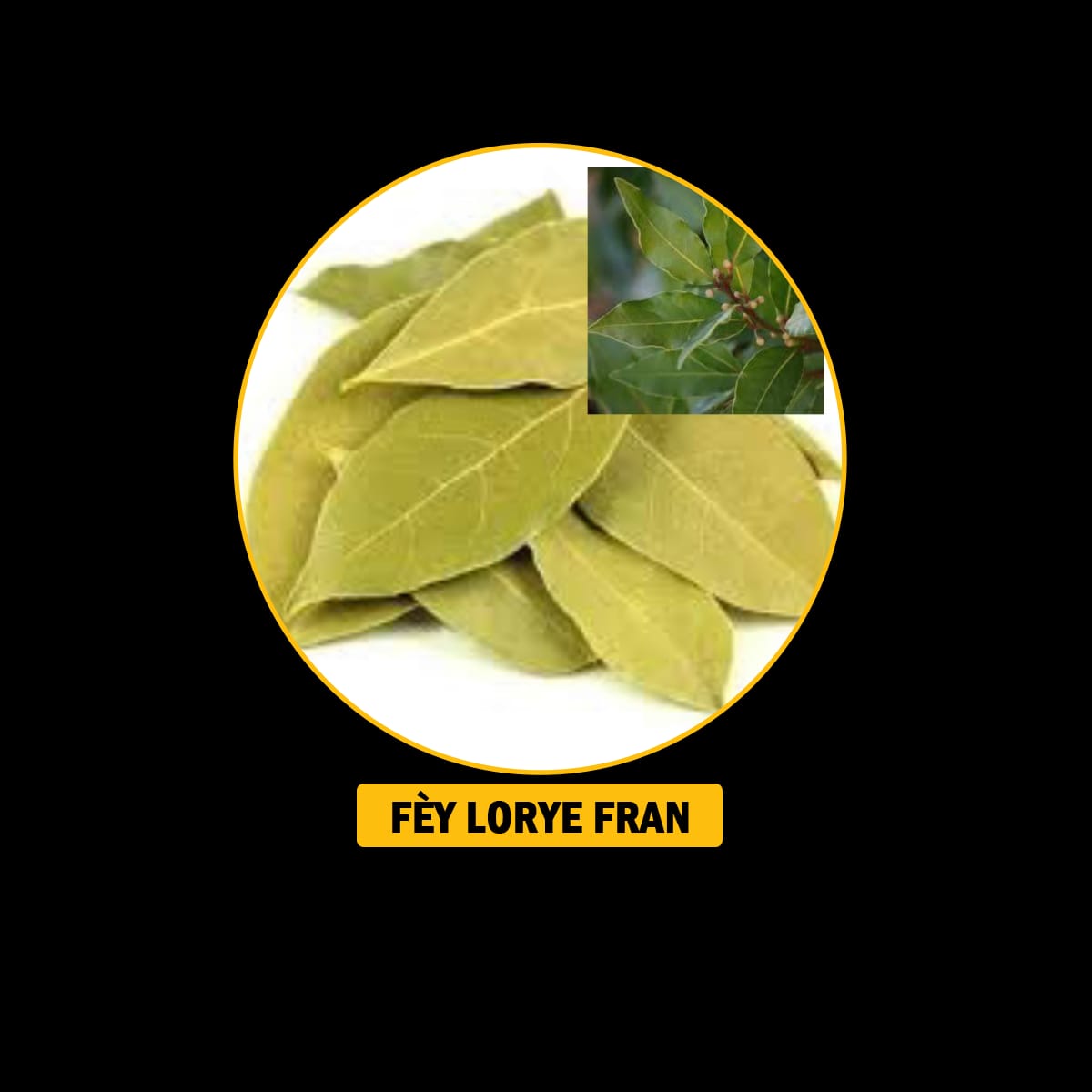 FÈY POU DOULÈ RIMATIS AK ENFLAMASYON
